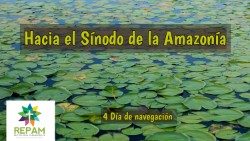 2019.08.30 Repam Sinodo 4.jpg