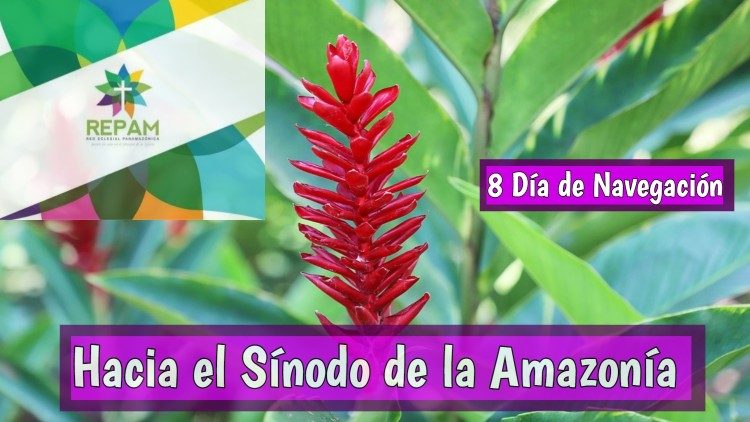 REPAM SINODO 8 (1).jpg