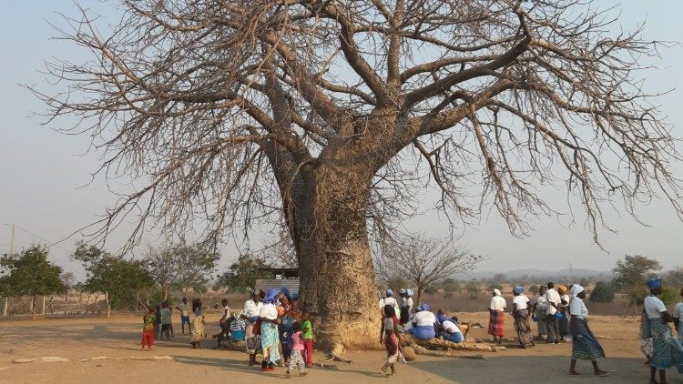 A região da Paróquia Imaculada Conceição, em Marara, que conta com 19 comunidades