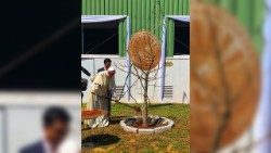 2019.09.07 Il Papa e il Presidente malgascio piantano un baobab.jpg