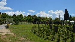 1. La Cittadella di Semi di Pace (1)AEM.jpg