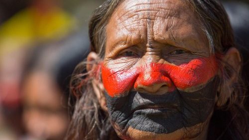 Le Synode spécial sur l'Amazonie présenté en Salle de presse 