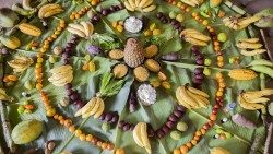 30 repam 0661-SAN FRANCISCO. COLOMBIA.jpg