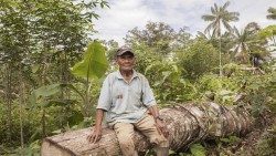 36 repam 0714-SAN FRANCISCO. COLOMBIA, FRANCISCO PINTO.jpg