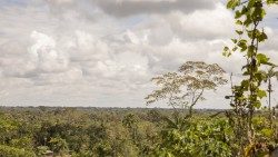 37 repam 0746-SAN FRANCISCO. COLOMBIA.jpg