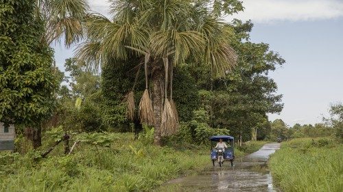 Guatemala, la Plenaria dei vescovi su evangelizzazione ed Amazzonia 
