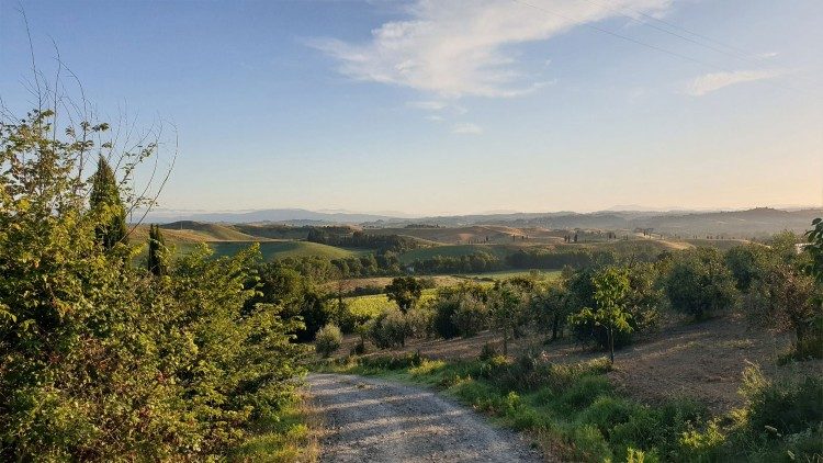 The hills of Tuscany