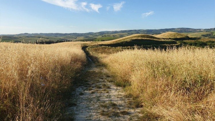 Via Francigena in Tuscany