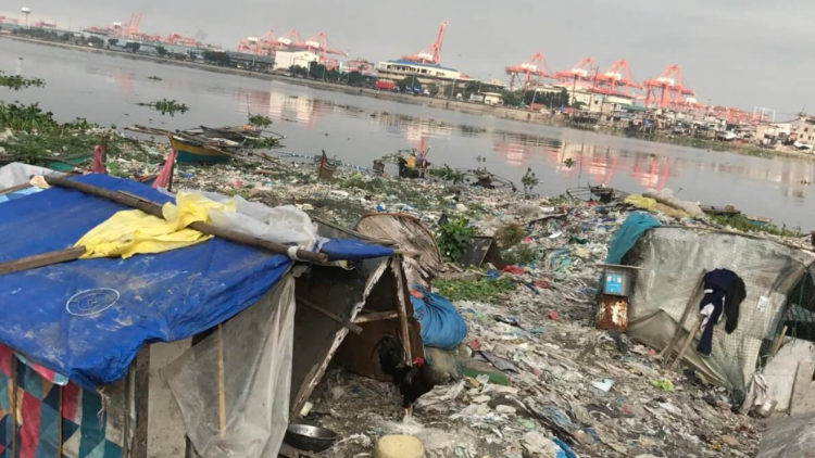 Plastic waste pollution