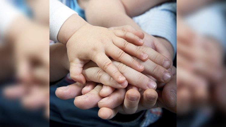 O projeto “Genius vitae" será apresentado na próxima quarta-feira