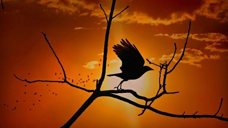 Tafakari ya neno la Mungu, Jumapili II ya Kipindi cha Majilio: Wazo Kuu ni kutubu na kumwongokea Mungu katika maisha.