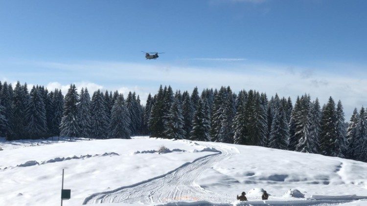 Prelievo e trasporto a Valdastico dell'abete rosso donato a papa Francesco nel 2019