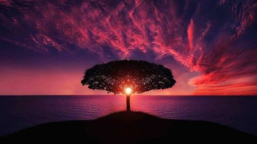 Comissão de Ecologia Integral da CNBB promove a ‘Semana Laudato si’