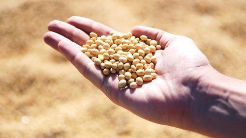 130 millions de personnes supplémentaires menacées par la faim dans le monde