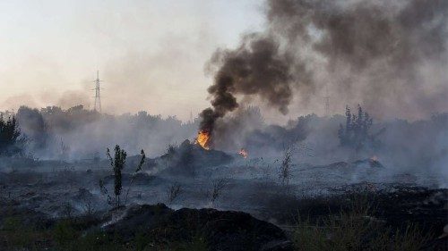 Laudato Si', un'enciclica sul futuro dell'uomo