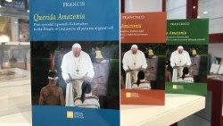 2020.02.13-Esortazione-apostolica-Querida-Amazonia-03.jpg