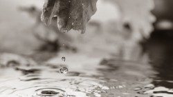 Gocce-di-pioggia.jpg