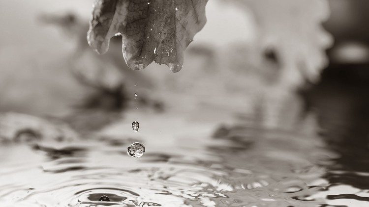 Papa Francesco: chiediamo la grazia delle lacrime, perché sono proprio le lacrime che ci preparano a vedere Gesù