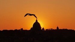 Roma-Cupola-san-Pietro-sera-gabbiano.jpg