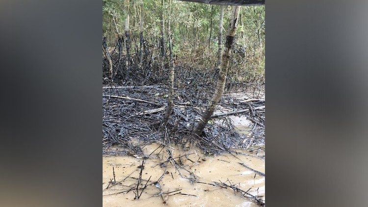 Contaminación en región de Aguarico, Francisco de Orellana por derrame de petróleo en el Río Coca