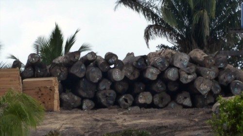 Per la pandemia, meno controlli in Amazzonia e la foresta è a rischio