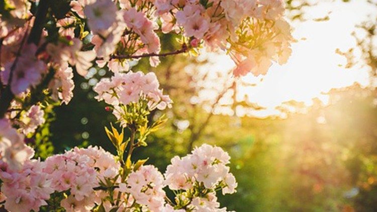 Papież: nadzieja otwiera na wielkie ideały prawdy i sprawiedliwości