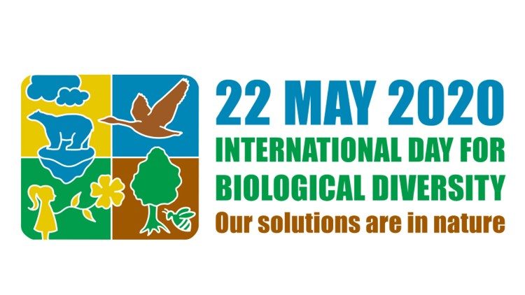Manifesto della Giornata della Biodiversità 2020