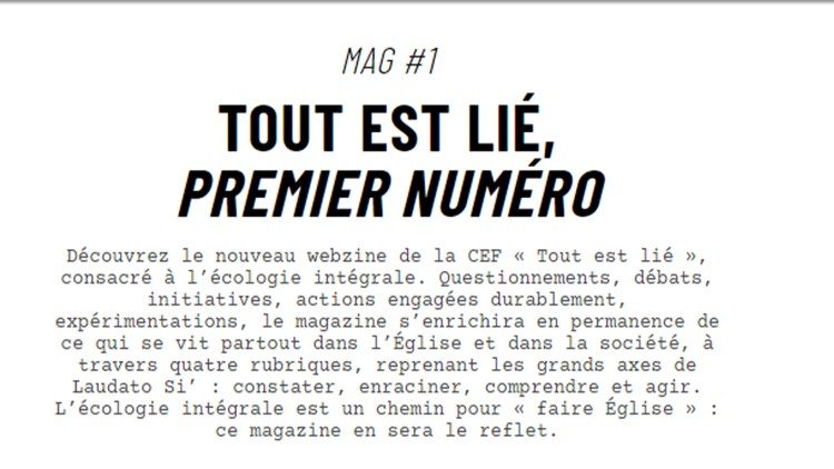 "Tout est lié", le nouveau webzine de la CEF 