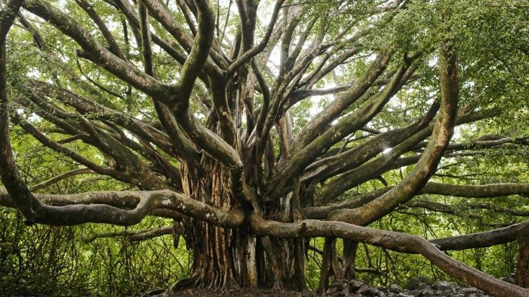 Unas palabras son dichas para ser oídas, otras para hacer la diferencia
