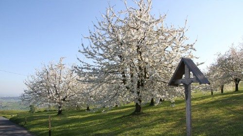 Deutsche spenden 5,4 Milliarden Euro