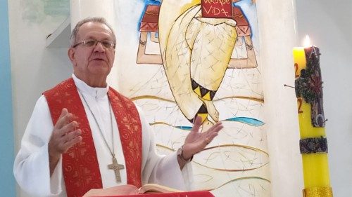 Dom Edson Damian: dois anos da “Querida Amazónia”