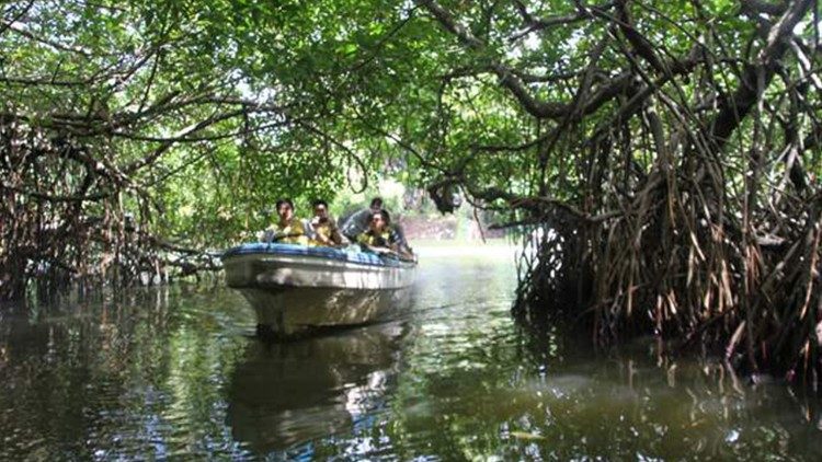A part of the Muthurajawela wetlands.