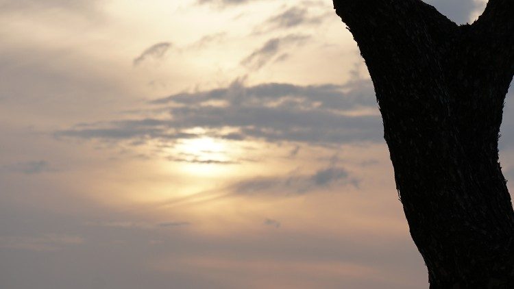 "Le Royaume des cieux"