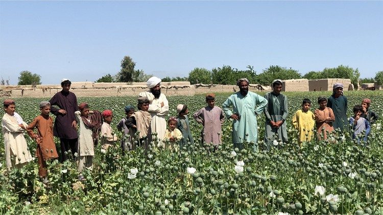 Helmland, foto di Mohammad Omar Lemar