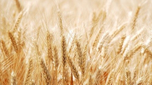 Food Safety. Allarme di Sacru sulla sicurezza alimentare globale 