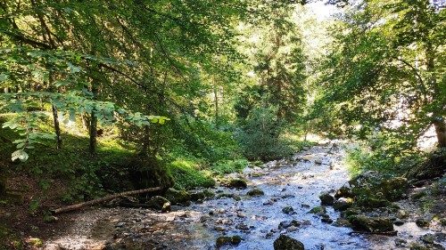 The experiences of Laudato si' collected in an e-book