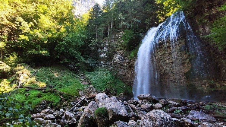 Il creato, un " giardino" dono di Dio 