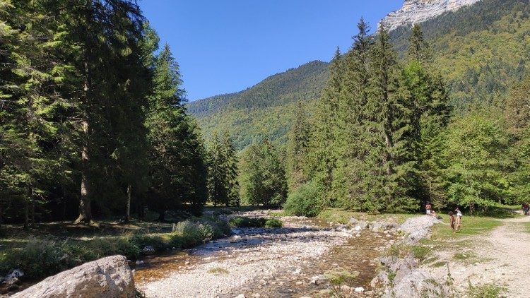 Anglia: Ekologiczny projekt „Strażnicy Stworzenia”