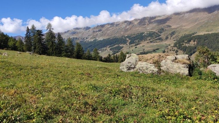 Ecologia integral e bem comum são os dois temas no centro das obras premiadas pela Centesimus Annus