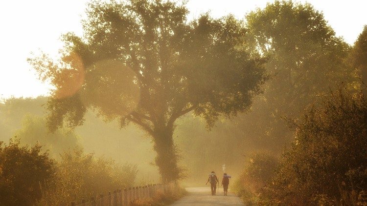 Las diferentes rutas