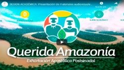 QUERIDA-AMAZONIA-SUBIRaem.jpg