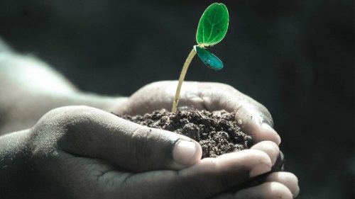 Oración ignaciana global por una justicia ecológica