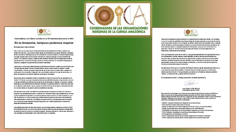 Carta Aberta aos líderes reunidos na 75ª Assembleia da ONU