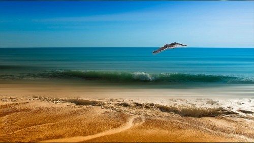 La Alianza Católica por el Clima impulsa la conversión ecológica