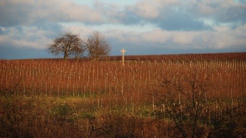 Unser Sonntag: Gott erwählt