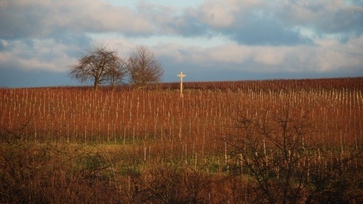Arbeit im Weinberg? Ja, sagt der eine Sohn - und geht nicht. Nein, sagt der andere. Und überlegt es sich anders. 