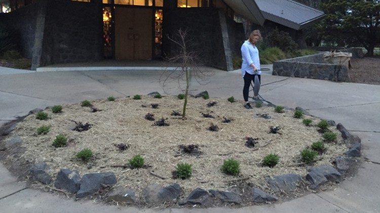 Erin ha guidato il progetto di nuove piantumazioni alla Chiesa di San Giuseppe