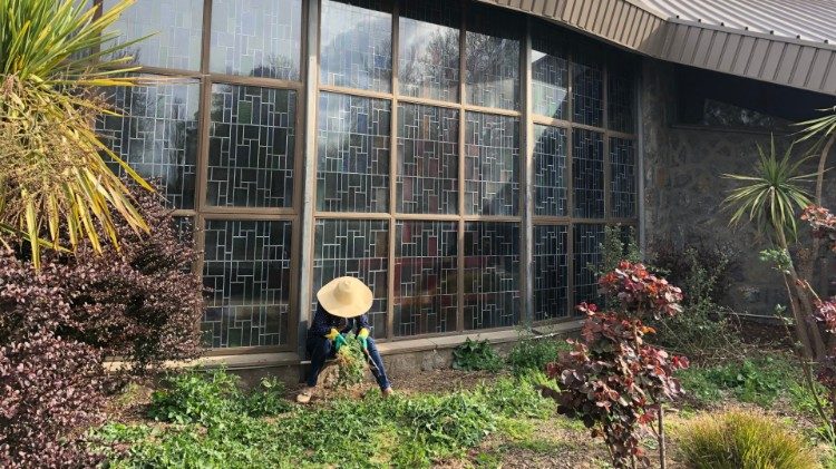 L’impegno per il creato a O’Connor