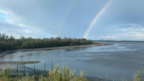 Francesco, sempre più allarmante il grido della terra e dei poveri