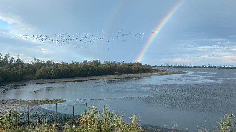 Laudato si, Carta encíclcia do Papa Francisco sobre o cuidado da casa comum
